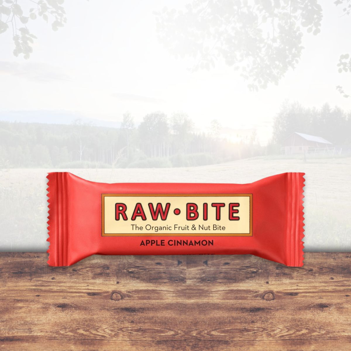 Frukt- & Nötbar Äpple & Kanel – 50 G